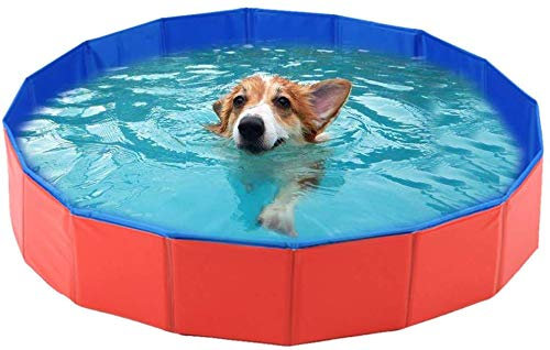 smallrun Piscina Plegable para Perros Gatos Bañera Portátil para Mascotas Plegable PVC Antideslizante y Resistente al Desgaste (120 * 30CM)