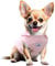 YQYS Dog Hoodies Sleeveless Cotton Sweatshirts for Small Dogs and Kitten Chihuahua Clothing Teacup Dog Puppy Clothes Cold Weather Coat Ropa para Perro Pink XXSmall