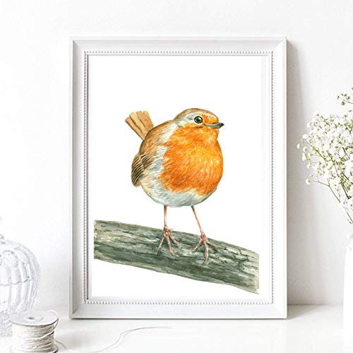 Din A4 Kunstdruck ungerahmt - Rotkehlchen Vogel Natur Aquarell Druck Poster Bild