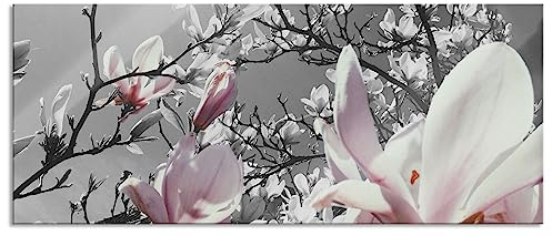 Pixxprint Glasbild Panorama, Wandbild aus Echtglas, schöne Magnolie Blüten, 120x50 cm, inkl. Aufhängung und Abstandshalter