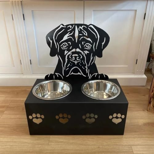 Personalized Dog Bowls Dog Food and Water Bowl with Stand Elevated Dog Bowls,Customized with Your Pet'S Name Custom Dog Bowls for Small Dogs,Stainless Steel Material (Jack Russell)