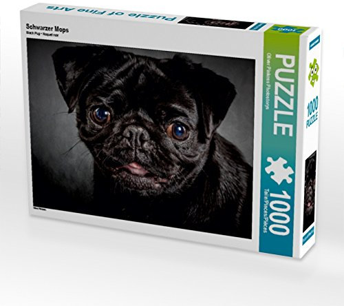 CALVENDO Puzzle Schwarzer Mops 1000 Teile Puzzle quer | Lege-Größe cm Foto-Puzzle für glückliche Stunden