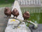 H. Packmor GmbH Bronzefigur DREI Vögel auf AST Spatzen Gartendekoration Vogelfigur