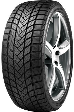 LandSail Winter Lander - 165/70R14 81T - Winterreifen