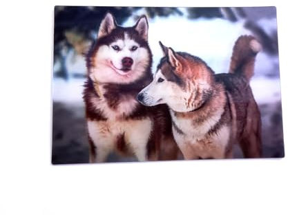 3 D Ansichtskarte Schlittenhunde, Postkarte Wackelkarte Hologrammkarte Tier Huskys