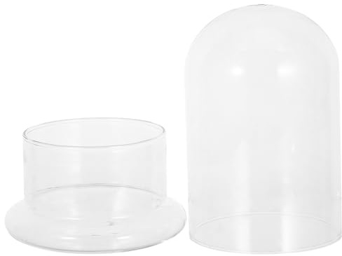 Gadpiparty Terrarium Glasflasche DIY biologischer Flaschengarten mit Hydroponik Selbstversorgendes Moos ökosystem Klare Tischdeko für Zimmerpflanzen und Schreibtisch