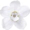 Kare Design Wandschmuck Orchid, Weiß, Wandschmuck, Wand Deko, Orchidee, handgefertig, 54x51x15 cm (H/B/T)