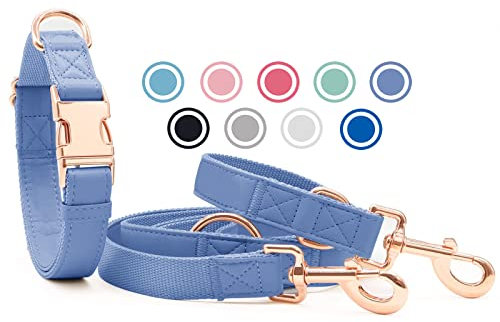 Weich Leder Hundehalsband und Leine (2m) Set - 3-Fach Verstellbar Hundeleine mit Halsband, Stilvollen Rose Gold Metall Schnalle & Nylon Hund Leinen für Welpen Kleine Mittlere Große Hunde Violett,S