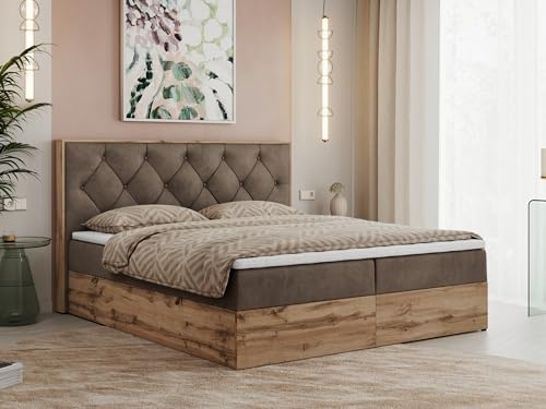 MKS MEBLE Boxspringbett 200x200 cm mit Bettkasten Wotan Eiche, Doppelbett mit Kopfteil, Matratze H4 mit Topper T25, Matratzenaufbau, Polsterbett mit Stauraum - Braun Velvet - Veneto