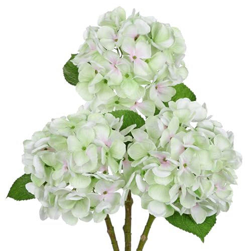 Hollyone Hydrangea Artificial Flowers, 3PCS | 18.8 Fake Flowers Silk Hydrangeas with 6 Large Blooms, Realistic Light Green Faux Flowers for Floral Arrangements, Centerpieces, Wedding, Home Decor