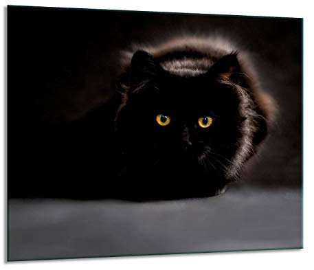 Herdabdeckplatten Ceranfeldabdeckung Spritzschutz Glas 60x52 Katze