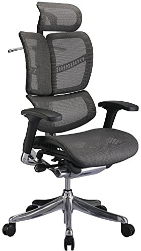 CLP Bürostuhl Norfolk Ergonomic I Ergonomischer Schreibtischstuhl I Kopfstütze, Farbe:grau