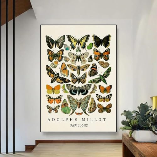 Baibexing Vintage Wissenschaft Druck Poster Insekten Diagramm Käfer Schmetterling Leinwand Malerei Botanisches Poster Home Wanddekoration A1 60X90Cm Kein Rahmen
