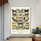 Baibexing Vintage Wissenschaft Druck Poster Insekten Diagramm Käfer Schmetterling Leinwand Malerei Botanisches Poster Home Wanddekoration A1 60X90Cm Kein Rahmen