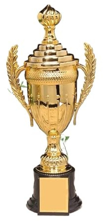 ZHSOAO Trophy Awards Competition Soccer Rewarding Supply Winner Award Toy Plastic Model Small Cup pour Événements(21cm-with lid)