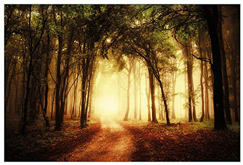 Wallario Küchenrückwand selbstklebend 90 x 60 cm, Motiv: Sonnenuntergang auf dem Waldweg | Spritzschutz abwischbar & pflegeleicht