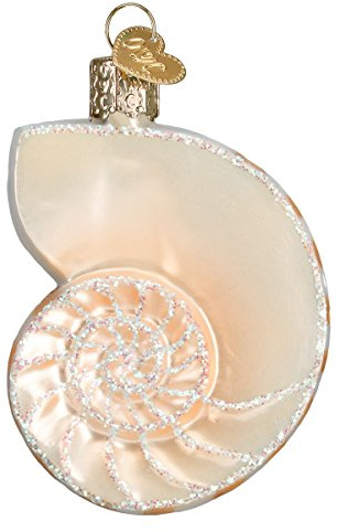 Old World Christmas Nautilus Shell Glass Blown Ornament for Christmas Tree, Handcrafted Holiday Decoration, Seashell Collection