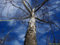 Filtro multistrato UV (Haze) 1A | Vetro multithread (55mm) per Sony Alpha DSLR-A900