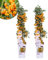 Perfect Garden | Set von 2 gelbe Feuerdorn Pflanzen | 15 cm Ø | 60 cm | Pyracantha coccinea Sunny star | Feuerdornhecke | winterharte pflanzen für garten|Gartenpflanzen|Kletterpflanzen Winterhart
