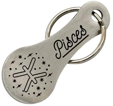 Einkaufswagenlöser Sternzeichen Schlüsselanhänger Einkaufschip mit Lasergravur Abziehbarer Einkaufswagenchip Metall (Pisces - Fische)