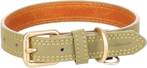 Flamingo Halsband für Hund Virginia grün S/M 31-39cm 20mm - Mit einem Ring für ID-Anhänger - Genäht für extra Stärke