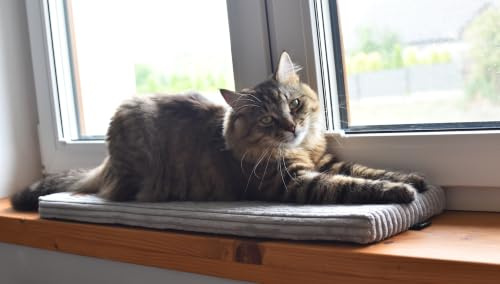 Prime Katzen Fensterliege Für Katzen, Fensterbank mit Einer Rutschfesten Rückseite, Katzenbett Fensterbank 50cm x 20cm Europäischen Union hergestellt (Grau Streifen, 100 x 20 x 3 cm)