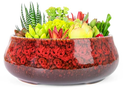 ARTKETTY Vasi per piante grasse, vaso per piante grasse, grandi vasi bonsai con drenaggio, fioriere in ceramica per piante da interno ed esterno, contenitore rotondo poco profondo per piante di cactus