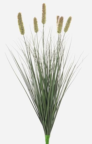 artplants.de Deko Hasenschwanzgras ELSAWE, Steckstab, Rispen, grün, 60cm | Künstliches Gras