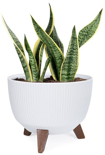 KONZEPT Pflanzschale Groß 29cm Weiß, Blumentopf mit Füßen, wetterfest & UV-beständig, mit Wasserabfluss-Einsatz, Übertopf für Innen & Außen