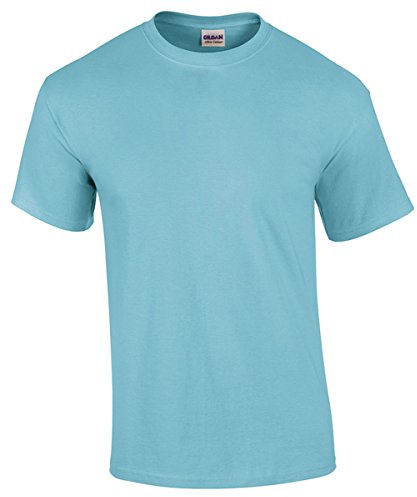 Gildan Mens Heavy Cotton Short Sleeve T-Shirt (XL) (Sky)