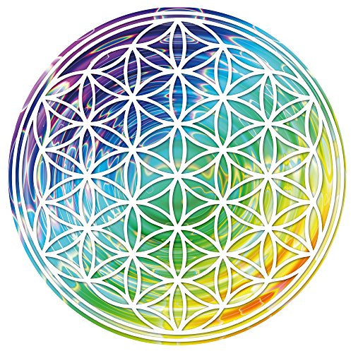 Kiwistar - Wandtattoo Wohnzimmer Blume des Lebens - Baum - Wandtattoo Kinderzimmer - Wanddeko für Wohnzimmer, Flur, Schlafzimmer - kreative Wandgestaltung - Moderne Wanddekoration
