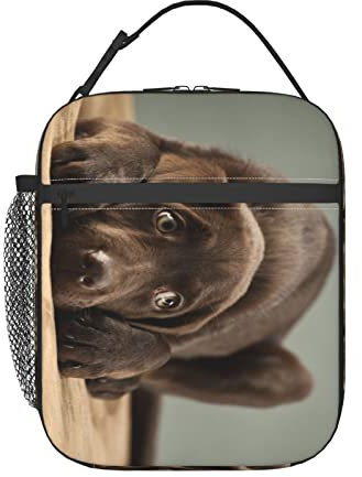 Schöne, entzückende Schokoladen-Labrador-Welpe, süße süße Labrador-Lunch-Tasche, langlebige, isolierte Lunchbox, wiederverwendbare Einkaufstasche für Erwachsene, wiederverwendbare Kühltasche