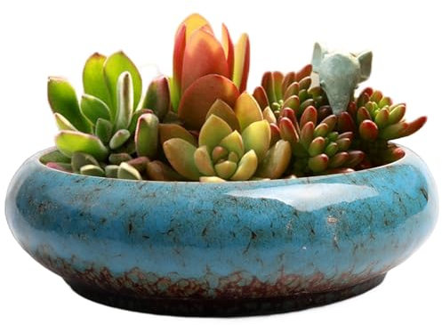 Lotusschalen-Pflanzgefäß, 18 x 18 x 5,3 cm, Keramik-Lotusschale, Seerosen-Narzissen-Bonsai-Topf, hydroponischer Sukkulententopf für die Bepflanzung im Innen- und Außenbereich, blauer Sukkulententopf,