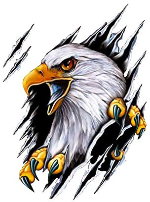 iSpchen Autoaufkleber 3D Flamme Adler Aufkleber Auto Racing Aufkleber Anti-Kratzer Motorhaube Karosserie Aufkleber Auto Emblem Sticker Auto Styling Dekoration Aufkleber,18cm×24cm,Links