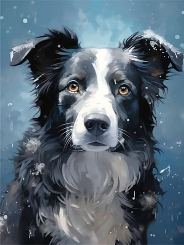 Peinture par Numéros Adulte Border collie,Chien Peinture Numero Enfant,Bricolage Peinture Numero Loisirs Créatifs,Acryliques Paintings avec Peintures et Pinceaux,Decoration Chambre 30x40cm LY-15200