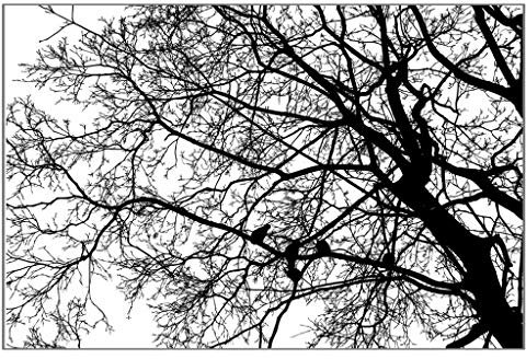 Silikon-Stempel mit Baum-Hintergrund, transparent, Haftversiegelung, Sammelalbum, Prägealbum