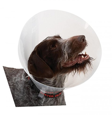 Buster Collar ISABELINO TRANSPARENTE 25 10UDS KRUUSE