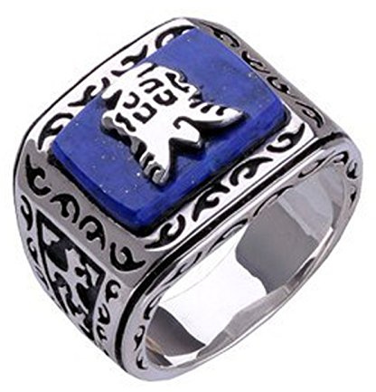 The Vampire Diaries Jeremy Resurrection Ring Elena Punk-Ring Qualität Modeschmuck Einzelhandel neues Design (11)