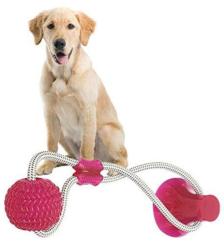 Fewao Jouet molaire Multifonction pour Animal Domestique Balle rebondissante avec Ventouse Forte Durable Cordes de Nettoyage pour Les Dents pour Chiens de Petite, Moyenne et Grande Taille