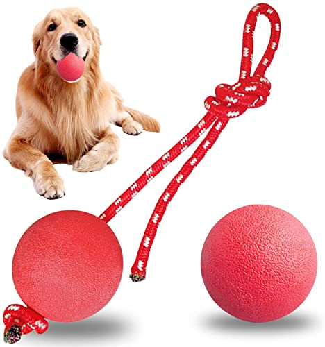 LHKJ 3 Stück Wurfball Hund, Hundespielzeug Ball mit Seil, Hundeball Spielzeug für Kleine Hunde Welpen