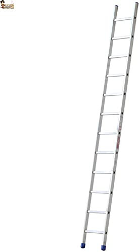 BricoLoco Scala in alluminio 1 tratto industriale. Professionale. Semplice supporto. 10 gradini. Altezza totale 3 metri. Ampio profilo a sezione larga per una maggiore stabilità.