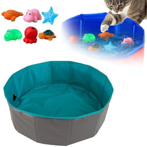 Pequeña piscina plegable para perros, de plástico duro, bañera plegable para mascotas, para cachorros, gatos pequeños, al aire libre, piscina, perros, PVC