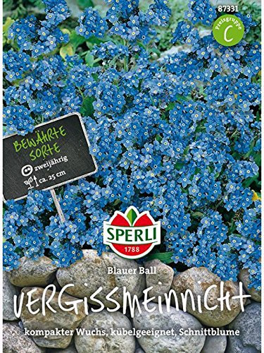 Vergißmeinnicht Blauer Ball