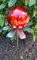 Jürgen Bocker Garten-Ambiente Blütenzauber Rotterdam Rosenkugel 15 cm Edelstahl Gartenstecker Deko mit Stab 80 cm (rot matt)