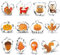 12 Stück Herbst Erntedankfest Ausstechformen Set, Blatt Ausstecher, Herbst keksausstecher, Edelstahl Ausstechformen für Kinder Thanksgiving, Cookie Cutters Fuchs, Kürbis, Eichenblatt, Eichhörnchen