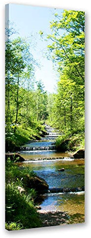 Feeby Impression sur Toile Intissee Nature Plantes 40x100 cm Tableau Moderne Tableau Photo Chambre à Coucher Ruisseau Forestier vert