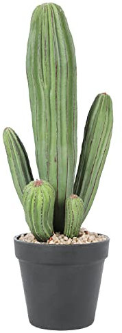 Huisezing Cactus artificiale finto cactus 40,6 cm piante di cactus in vaso finto per casa, ufficio, negozio, decorazione, regali di inaugurazione della casa