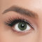 EL' AMORE farbige Kontaktlinsen GREEN – AMORE SERIE, stark deckende Monatslinsen für 6 Monate, Hellgrüne Farblinsen, perfekt für dunkle Augen - 1 Paar