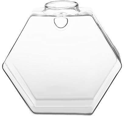 Hztyyier Vase en Verre Suspendu Mur Transparent 6 Décoration Murale de Jardin pour Mur Arrière-Cour pour Terrariums Suspendus Collants (hexagone) Potting Tools Potting Tools