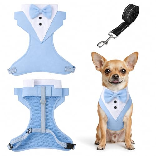 Hundegeschirr im Smoking-Stil mit Fliege - Verstellbares Step-in Brustgeschirr Unterpolstert für kleine und mittlere Hunde, Welpen, Katzen und Französische Bulldoggen (Hellblau S)